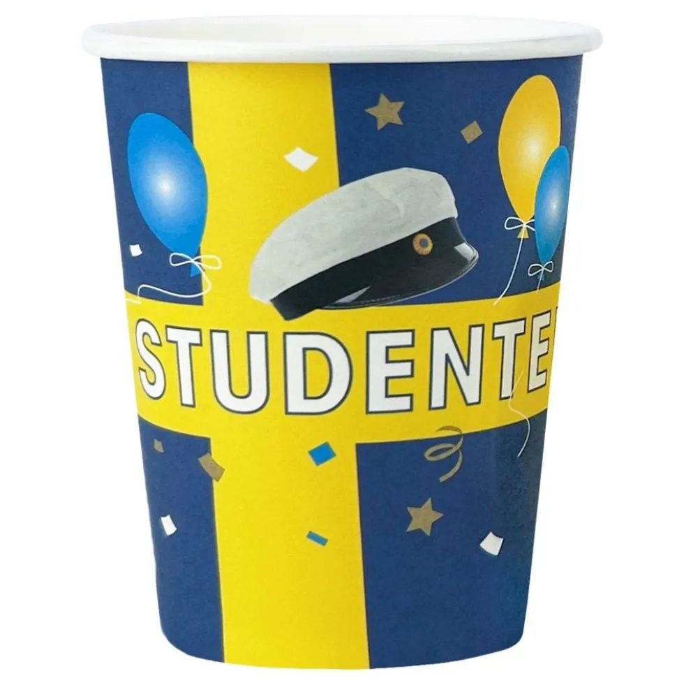 Studentin Pahvimukit
