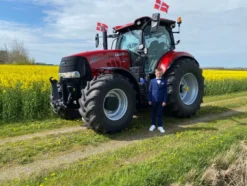 Tanskan Lippu Tikussa