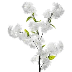 Tekokirsikankukka Valkoinen