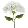 Tekokukka Hortensia Valkoinen