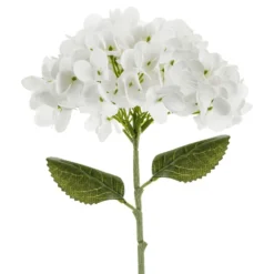 Tekokukka Hortensia Valkoinen