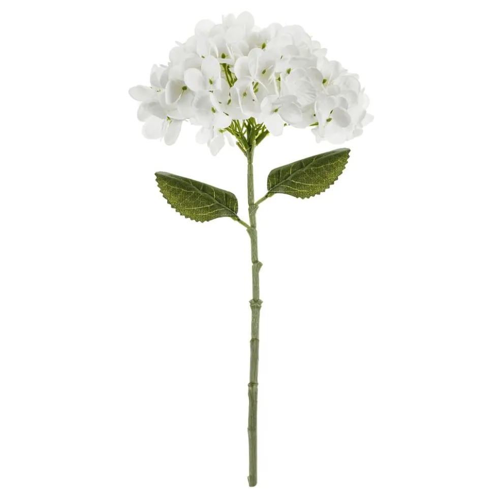 Tekokukka Hortensia Valkoinen
