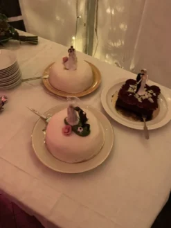 Täytekakkuhahmo Hääpari