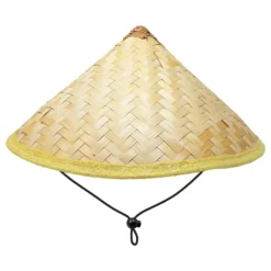Vietnamilainen Olkihattu
