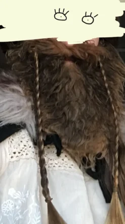 Viikinkiparta