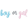 Viirinauha Gender Reveal Boy or Girl