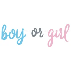 Viirinauha Gender Reveal Boy or Girl