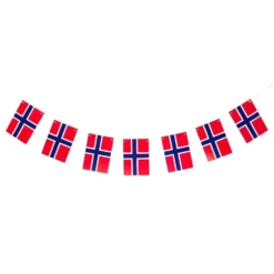 Viirinauha Norjan Lippu