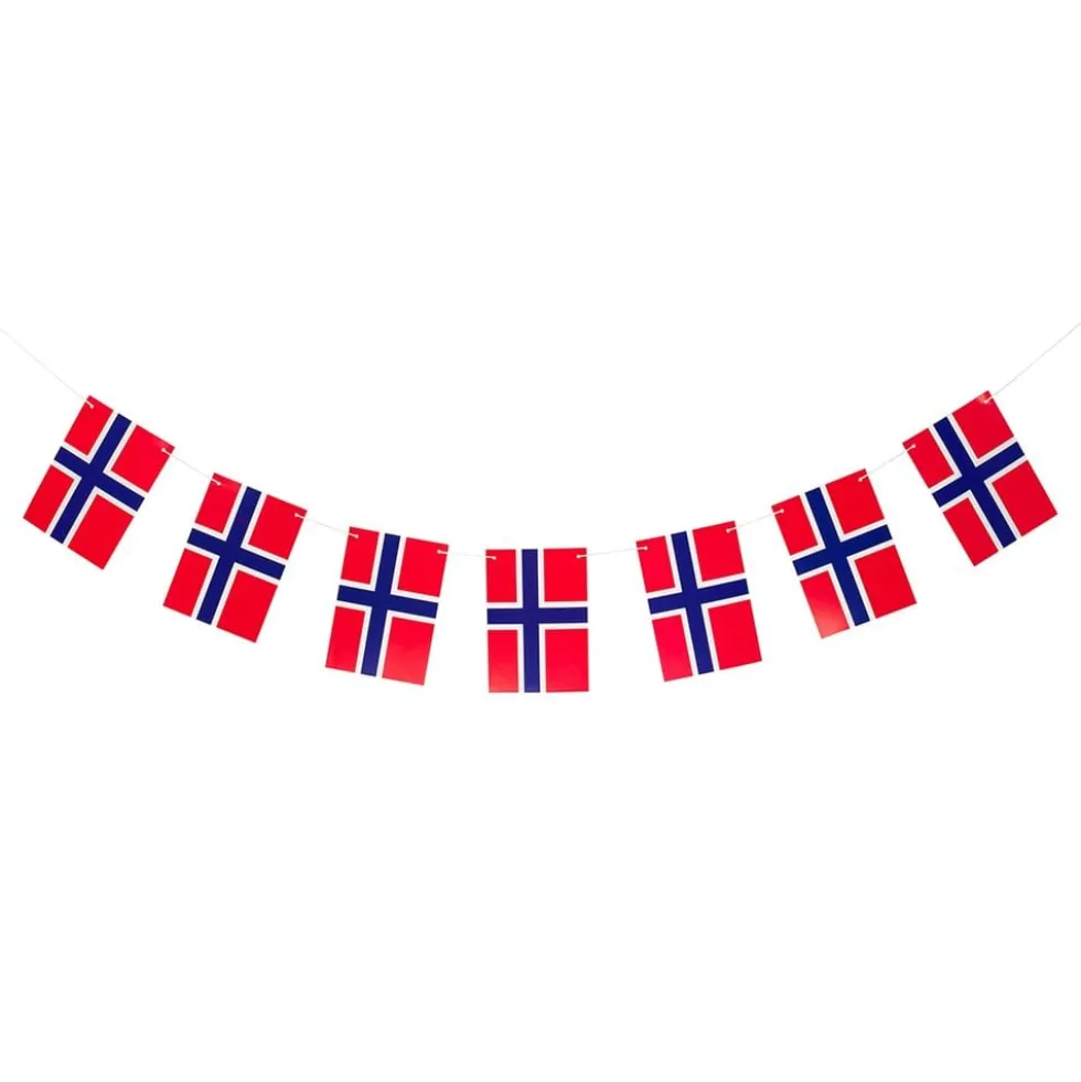 Viirinauha Norjan Lippu