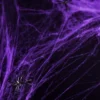 Violetti Hämähäkinverkko